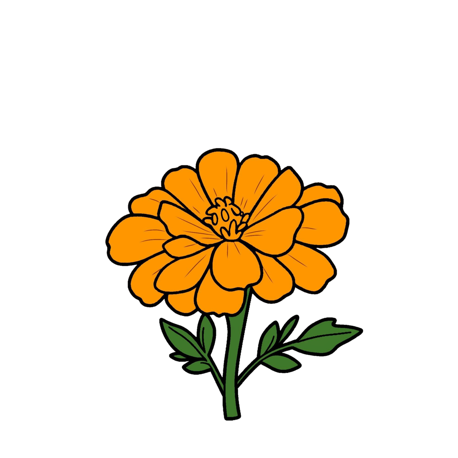 Marigold